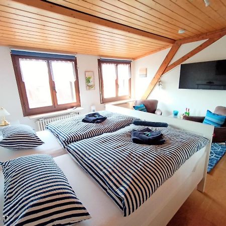 Bodensee Privatzimmer "Haus Am Weinberg Konstanz" Εξωτερικό φωτογραφία